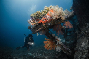 B L U E
Bounty Wreck 
Lombok (Gili), Indonesia. March 2016 by Irwin Ang 